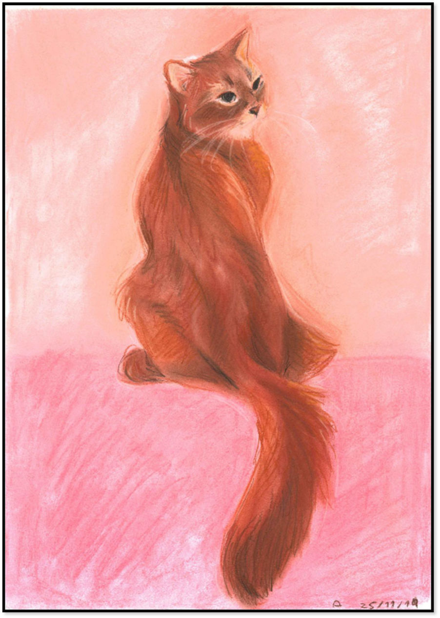 Elevarbeid Elevarbeid